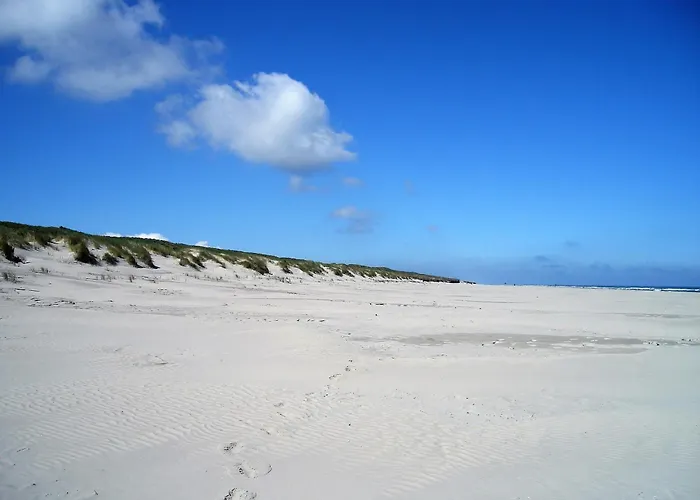 公寓 Haus Delft Minerva