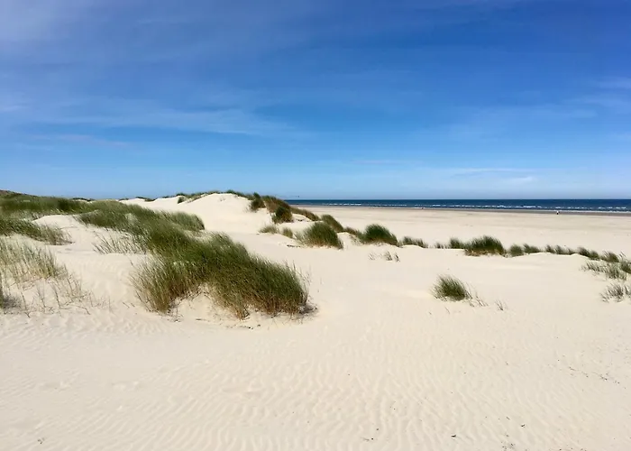 Haus Delft Minerva アパート ユイスト