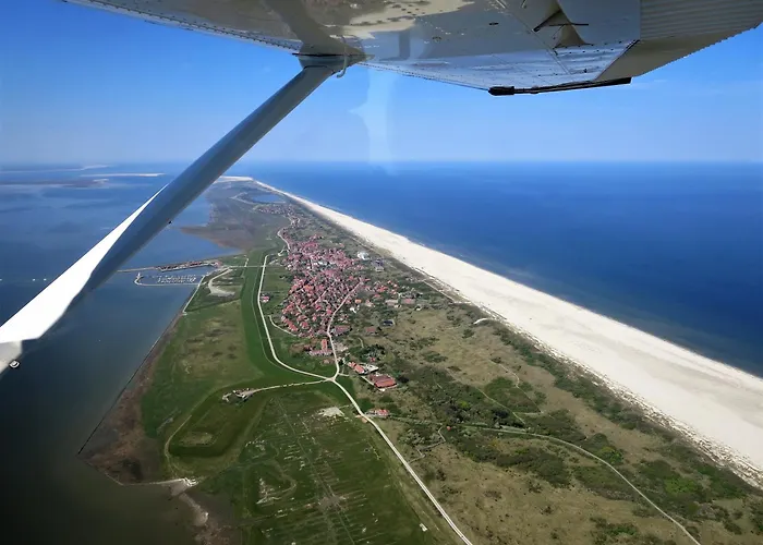 Haus Delft Minerva ユイスト